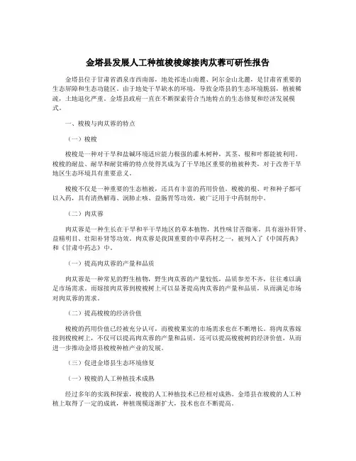 金塔县发展人工种植梭梭嫁接肉苁蓉可研性报告