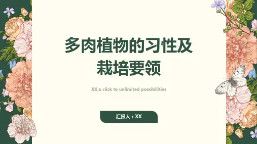多肉植物习性及栽培要领