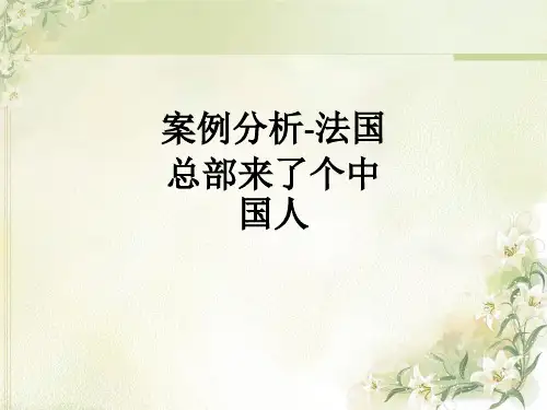案例分析-法国总部来了个中国人ppt课件