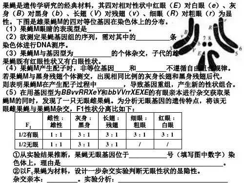 果蝇的高考习题
