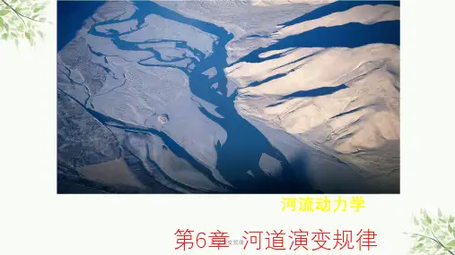 河道演变规律课件