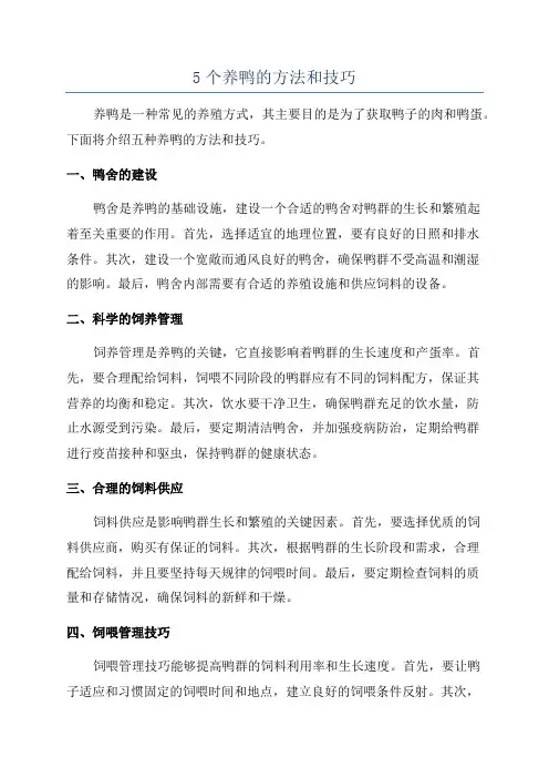 5个养鸭的方法和技巧