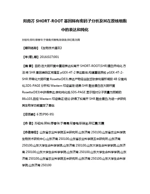 拟南芥SHORT-ROOT基因稀有密码子分析及其在原核细胞中的表达和纯化