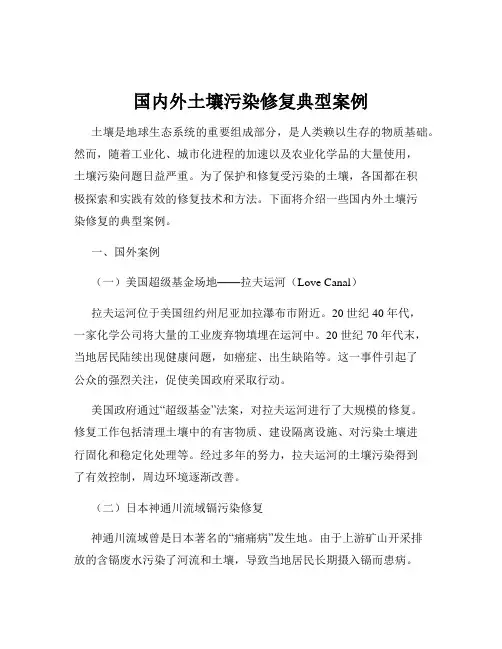 国内外土壤污染修复典型案例