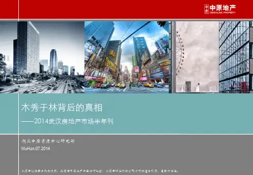 201407_湖北中原_2014年武汉楼市半年报_final