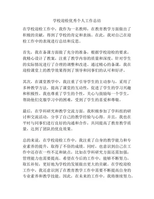 学校迎检优秀个人工作总结