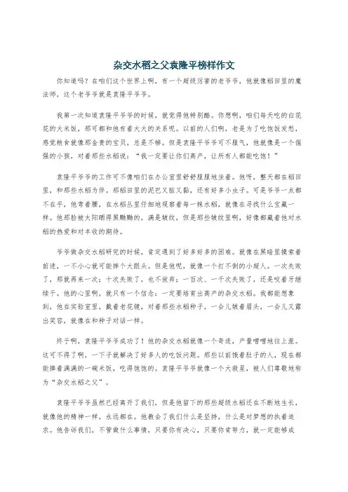 杂交水稻之父袁隆平榜样作文