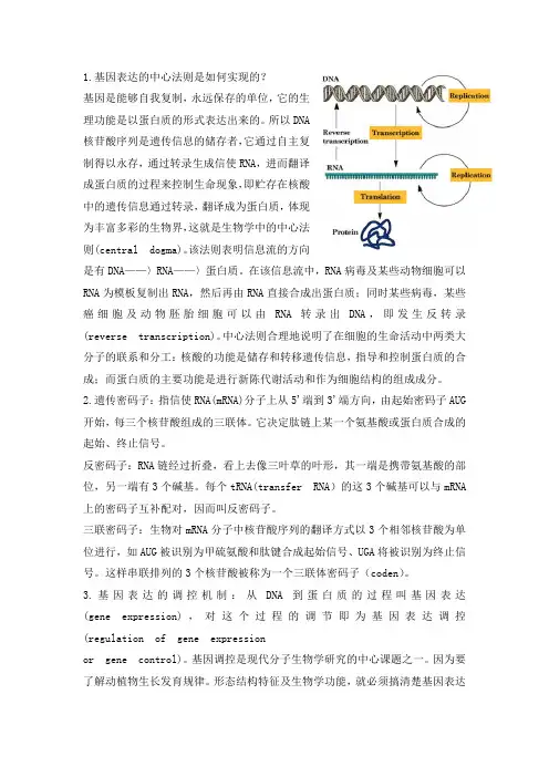 基因表达与调控