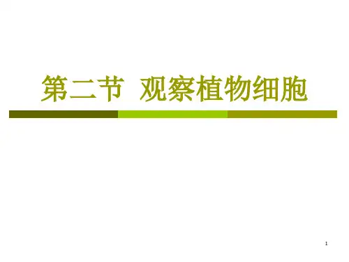 第二节观察植物细胞PPT课件
