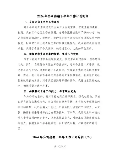 2024年公司出纳下半年工作计划范例（二篇）