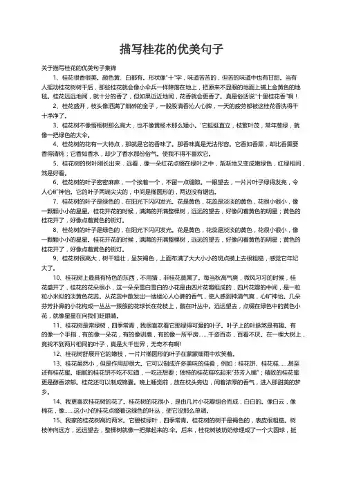 关于描写桂花的优美句子集锦
