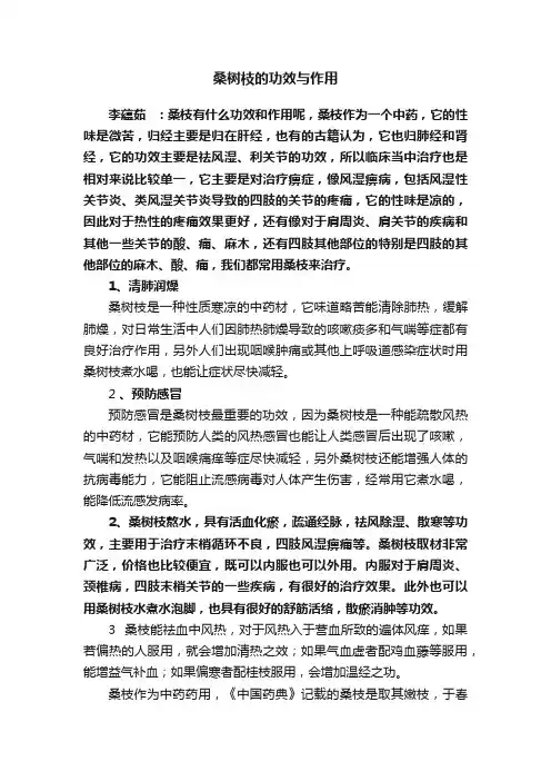 桑树枝的功效与作用