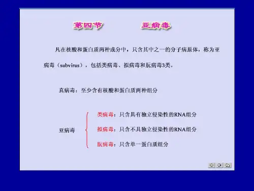 微生物学课件第四节亚病毒,第五节病毒与实践