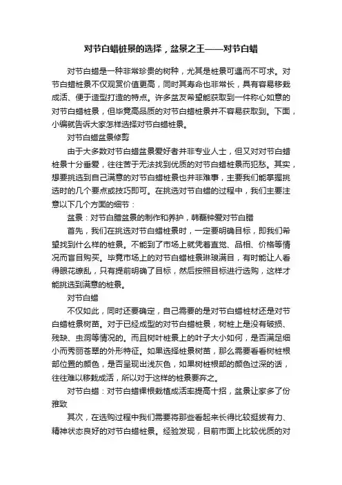 对节白蜡桩景的选择，盆景之王——对节白蜡