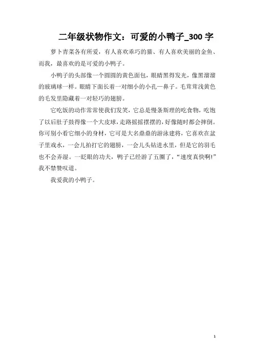 二年级状物作文：可爱的小鸭子_300字