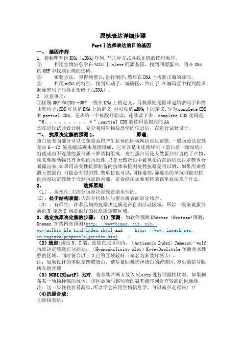 原核表达的详细步骤