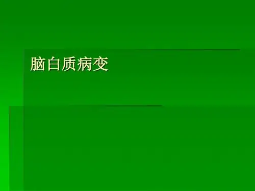 脑白质病变ppt课件