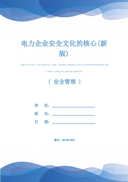 电力企业安全文化的核心(新版)