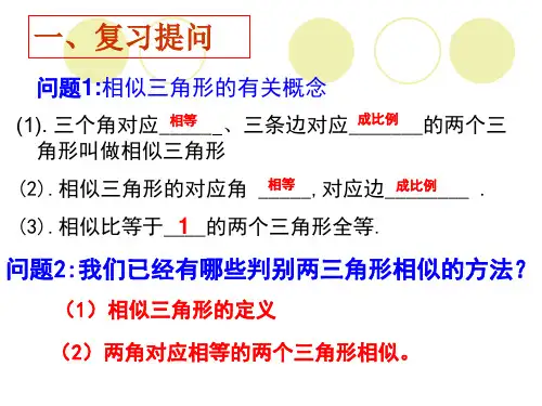 相似三角形的判定(边角边)