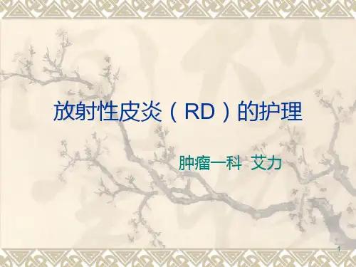 放射性皮炎的护理PPT课件