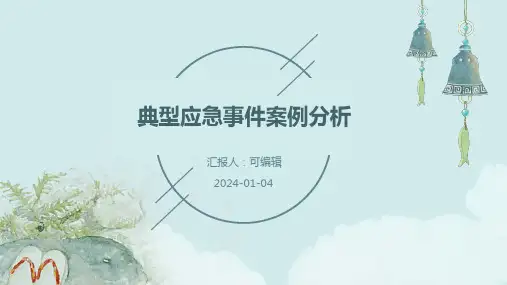 典型应急事件案例分析