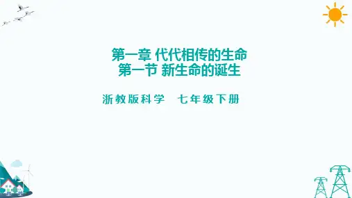 新生命的诞生课件--2022-2023学年浙教版科学七年级下册