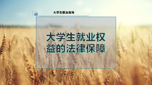大学生就业权益的法律保障