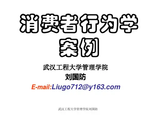 消费者行为学案例