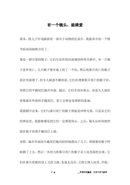 有一个镜头,溢满爱_成长故事