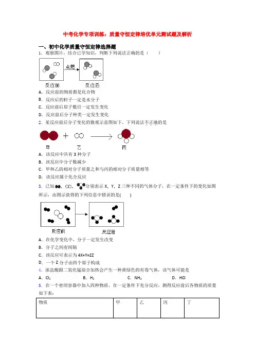 中考化学专项训练：质量守恒定律培优单元测试题及解析