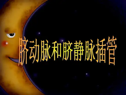 脐动静脉置管