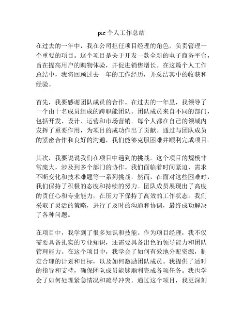 pie个人工作总结