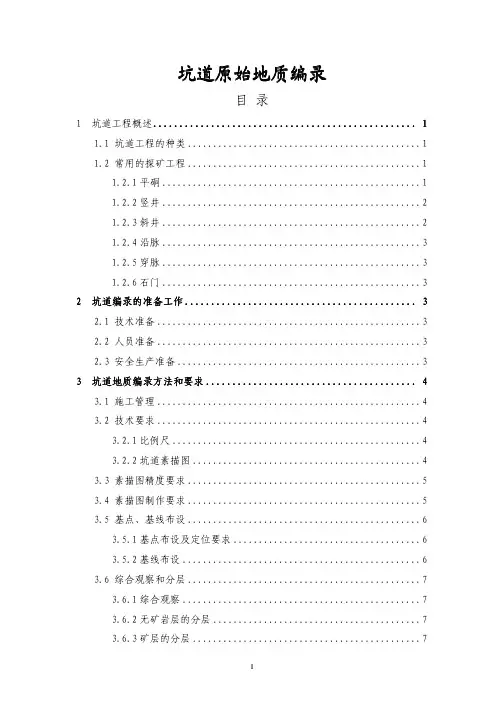 坑道原始地质编录 pdf