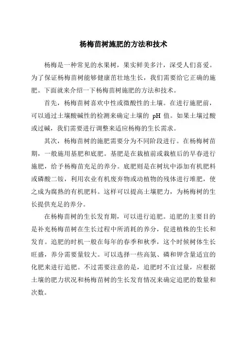 杨梅苗树施肥的方法和技术