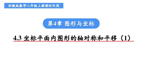 4.3 坐标平面内图形的轴对称和平移(1)课件 2024—2025学年浙教版数学八年级上册 