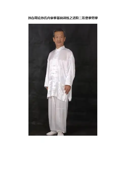 孙存周论孙氏内家拳基础训练之进阶二形意拳劈拳
