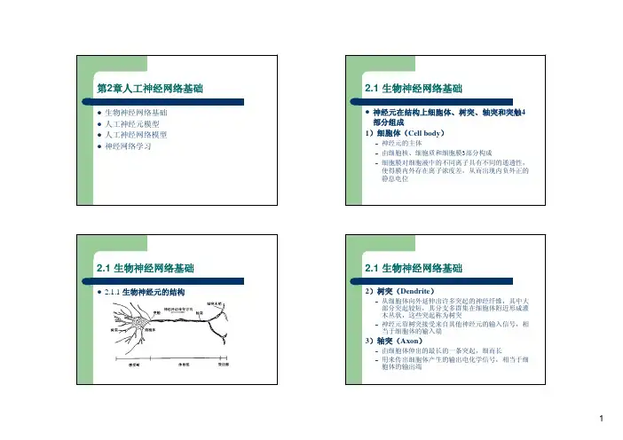 神经网络及应用第二章人工神经网络基础