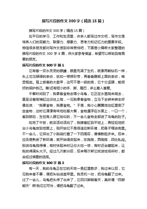 描写片段的作文300字（精选15篇）