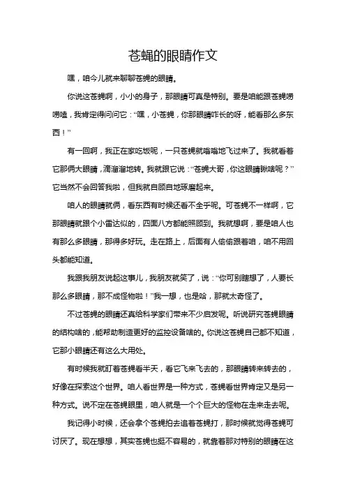 苍蝇的眼睛作文