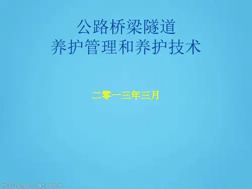 公路桥梁隧道养护管理和养护技术(图文并茂)PPT