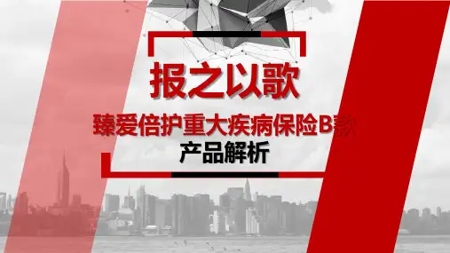 恒安标准臻爱倍护重大疾病保险B款产品形态特征解析26页
