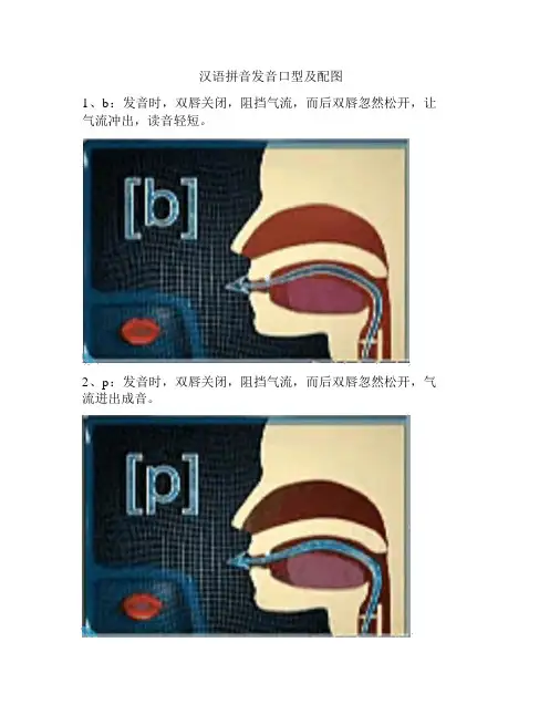 汉语拼音发音口型及配图