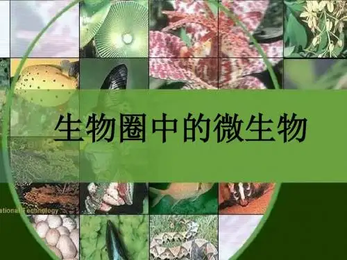 八年级生物生物圈中的微生物