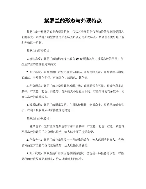 紫罗兰的形态与外观特点