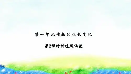 教科版科学四年级下册《种植凤仙花》ppt课件