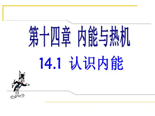 认识内能PPT课件