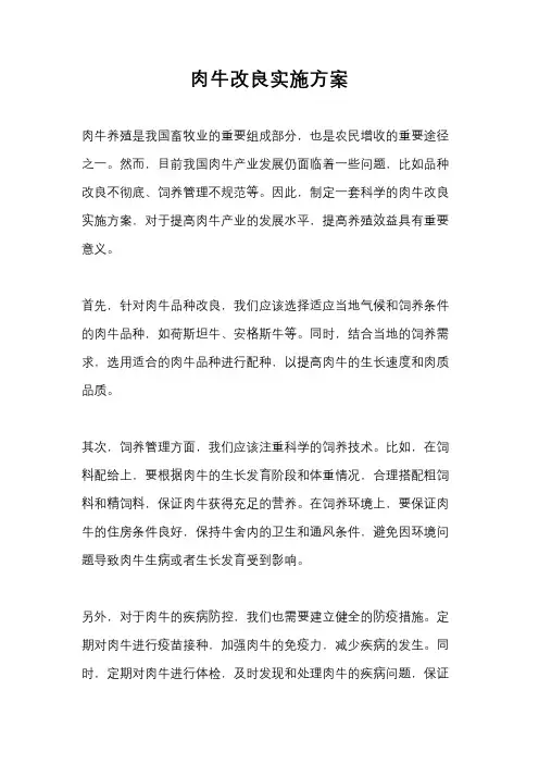肉牛改良实施方案