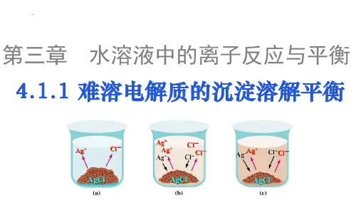3.4.1难溶电解质的沉淀溶解平衡  课件 高二上学期化学人教版(2019)选择性必修1