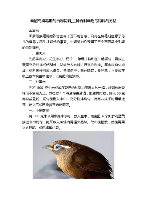 画眉鸟换毛期的自制饲料,三种自制画眉鸟饲料的方法