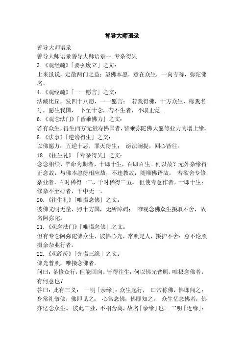 善导大师语录（范文）